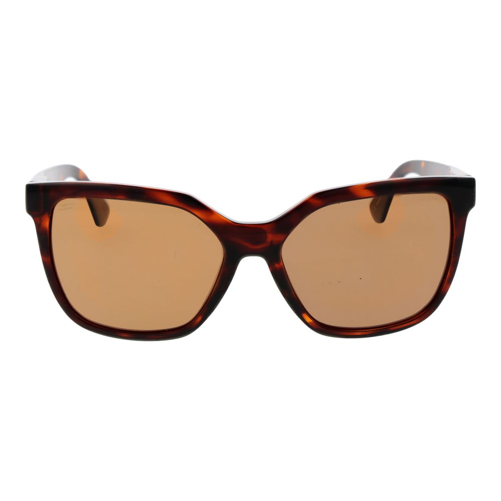 Brown Sunglasses