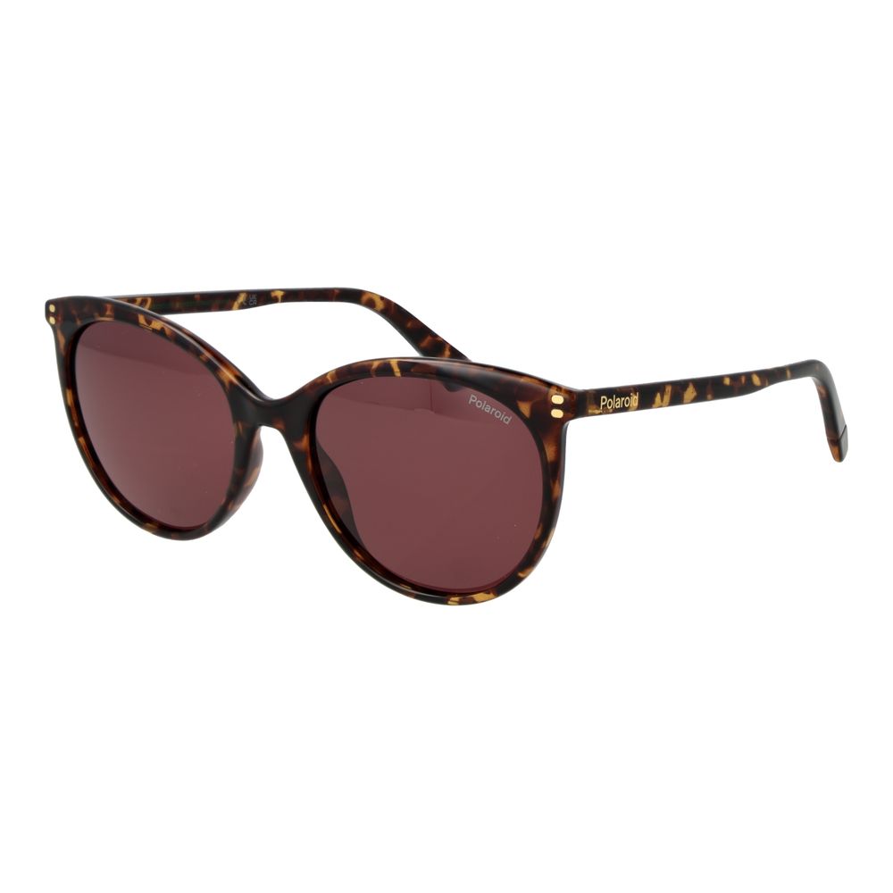 Brown Polycarbonate Sunglasses