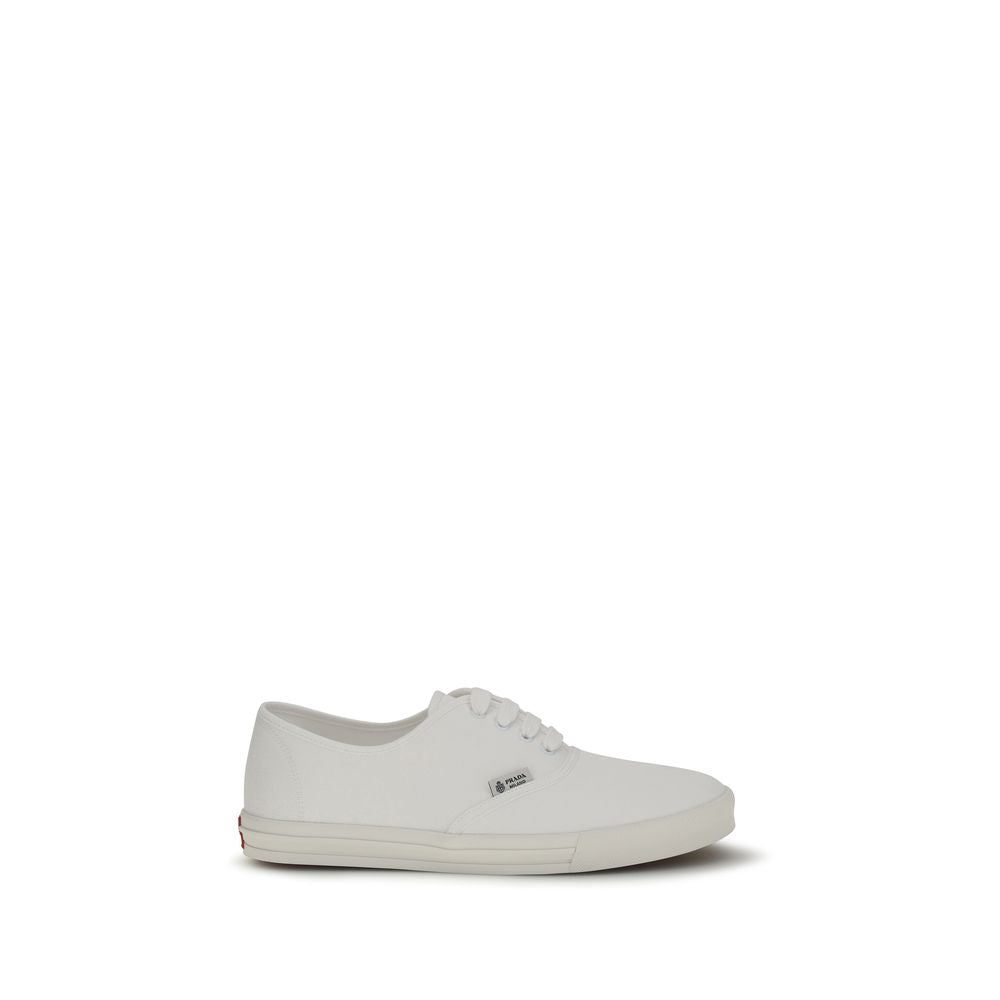 White Cotton Low Top Sneakers