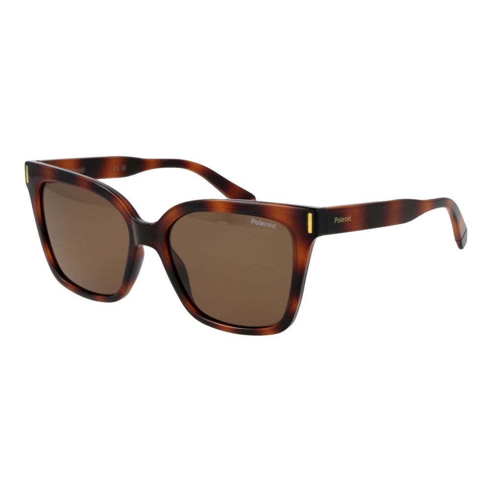 Brown Plastic Sunglasses