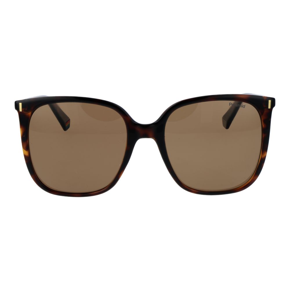 Brown Plastic Sunglasses