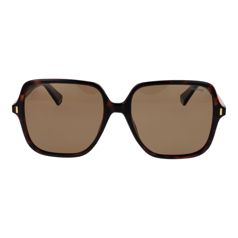 Brown Plastic Sunglasses
