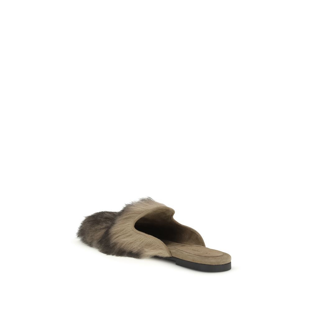 Ovečka šedá (Ovis Aries Aries Mules)