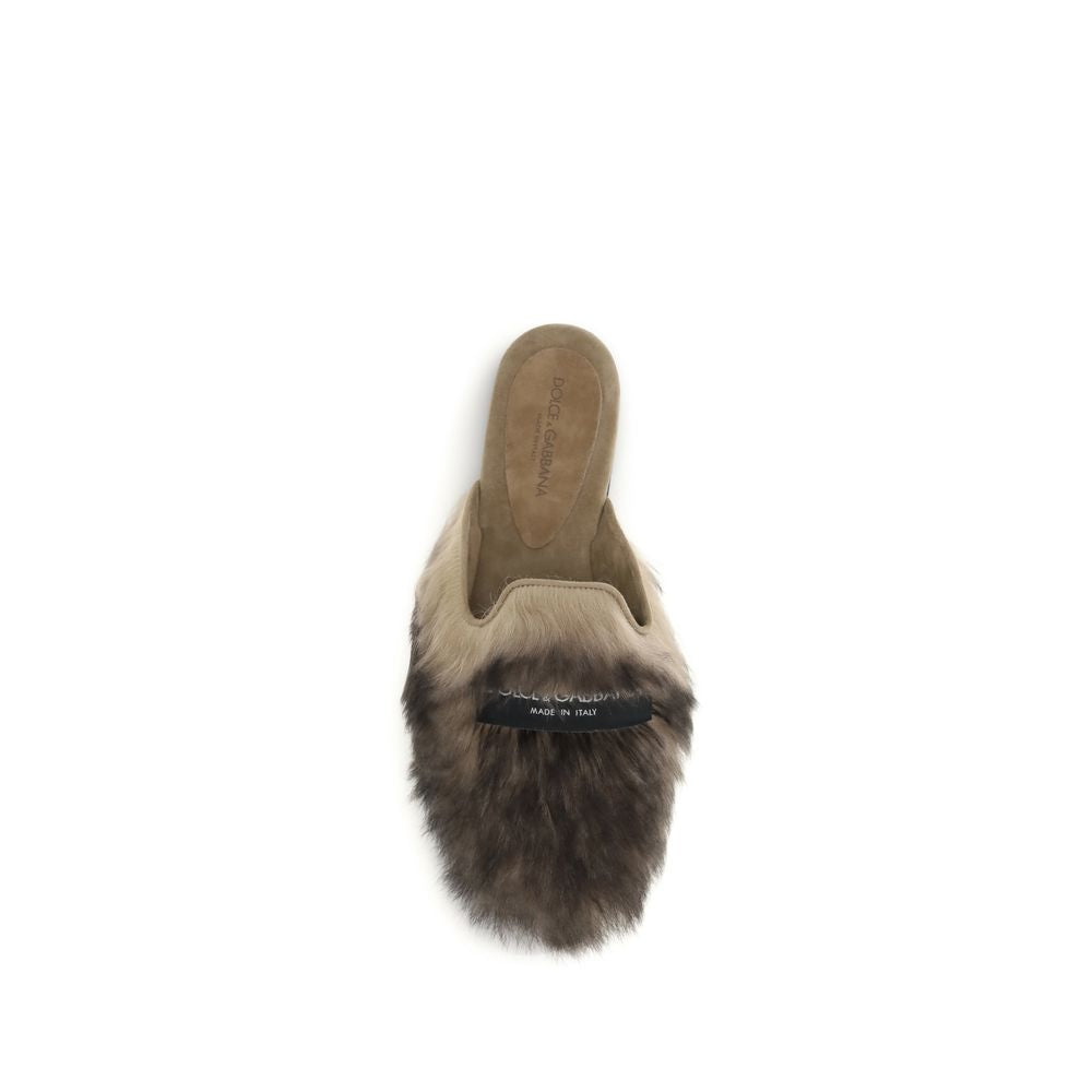 Ovečka šedá (Ovis Aries Aries Mules)