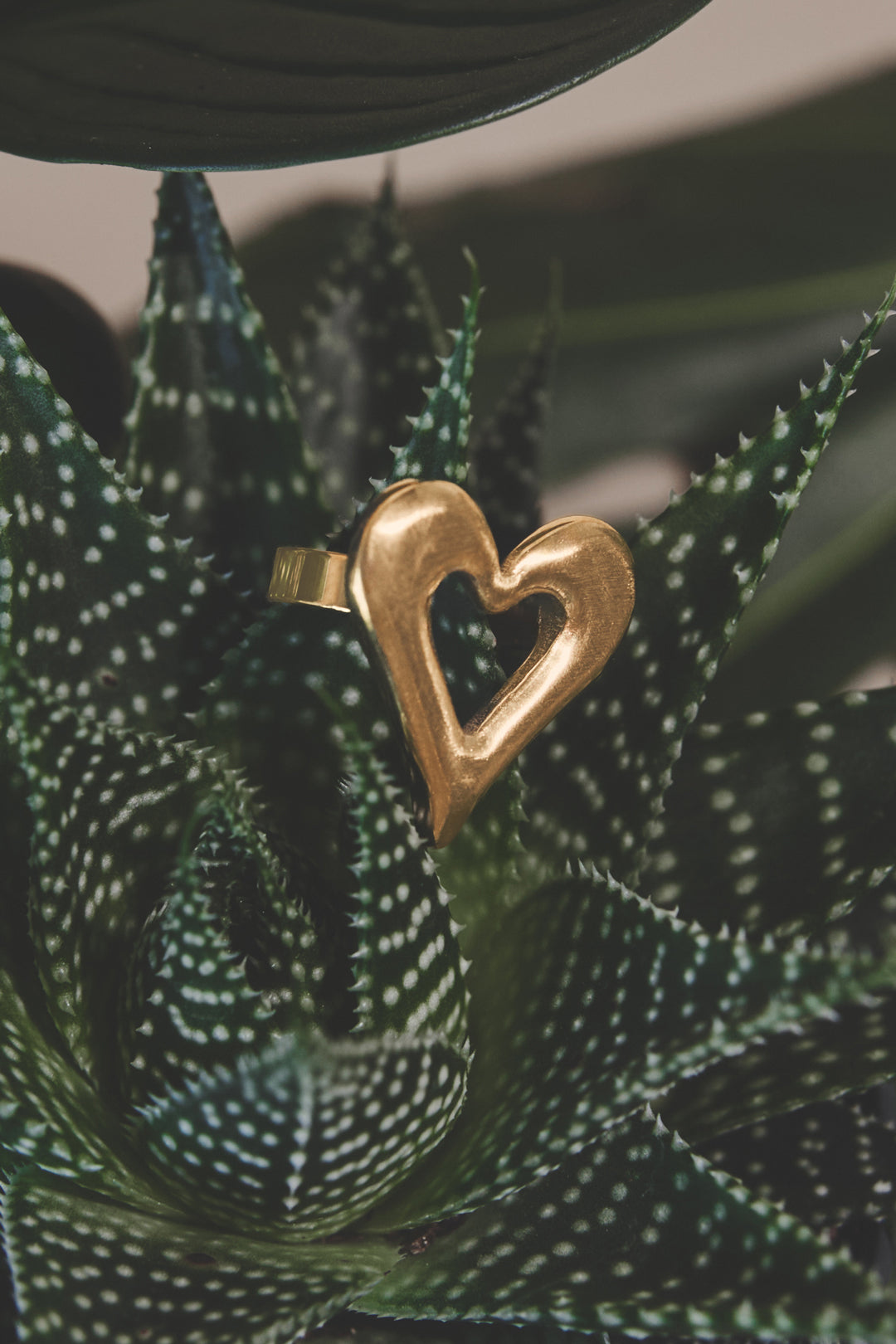 Statement Rings Heart Casual Daily Simple Series Women's jewelry