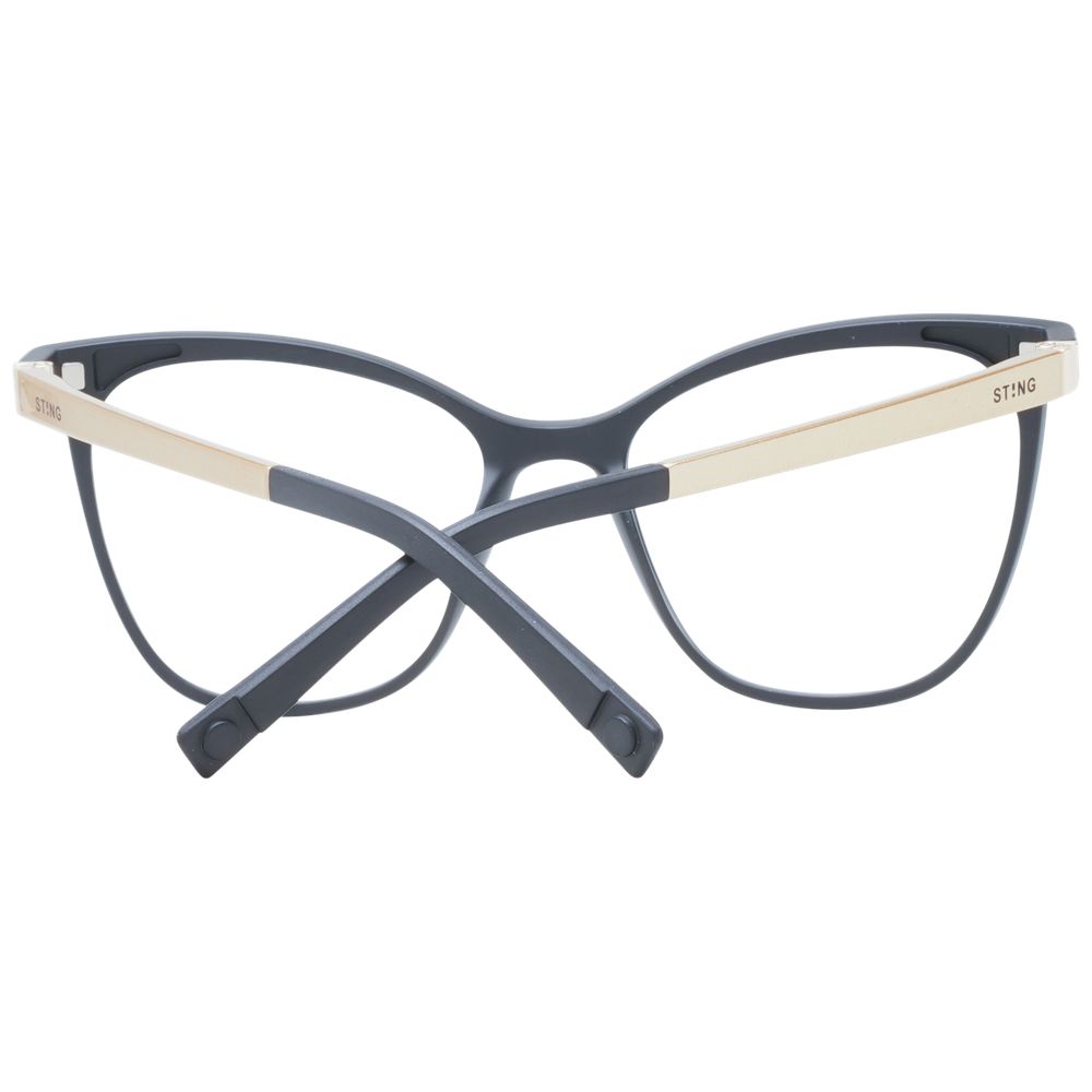 Black Plastic Glasses (Frames)