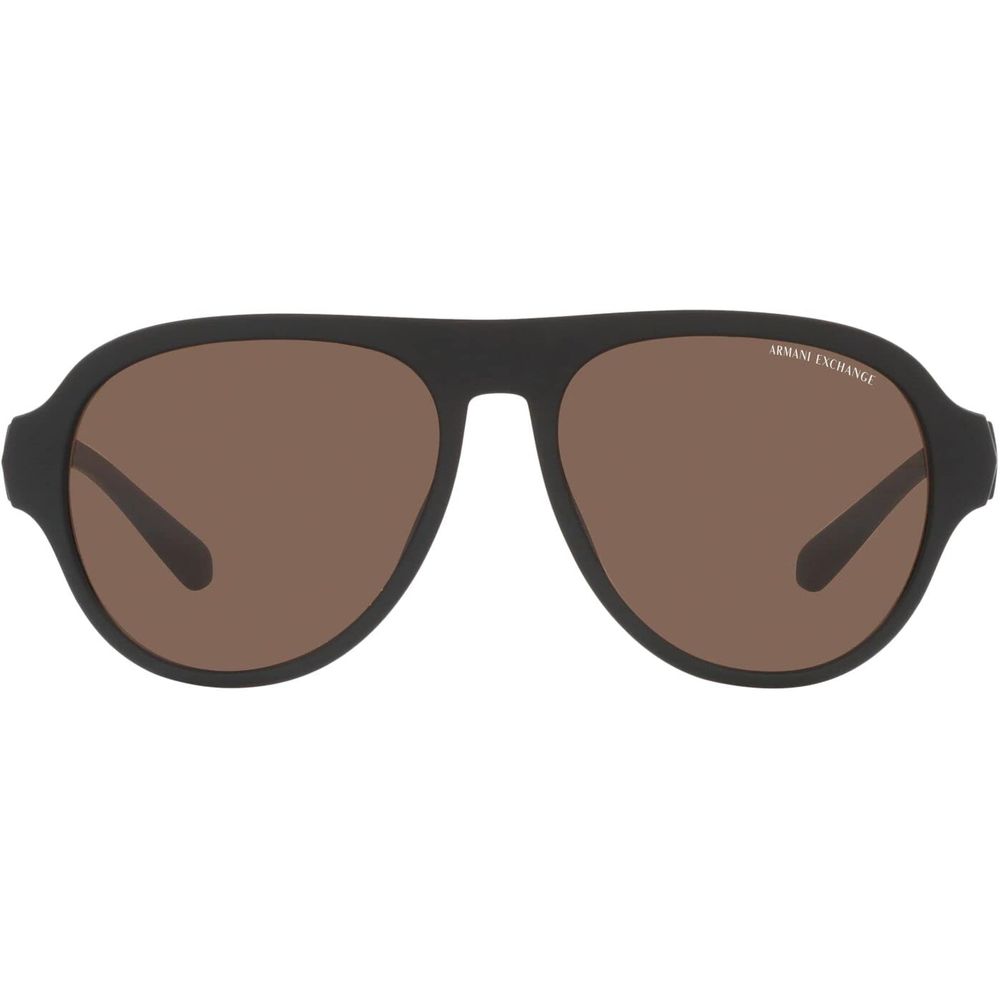 Brown Acetate Sunglasses