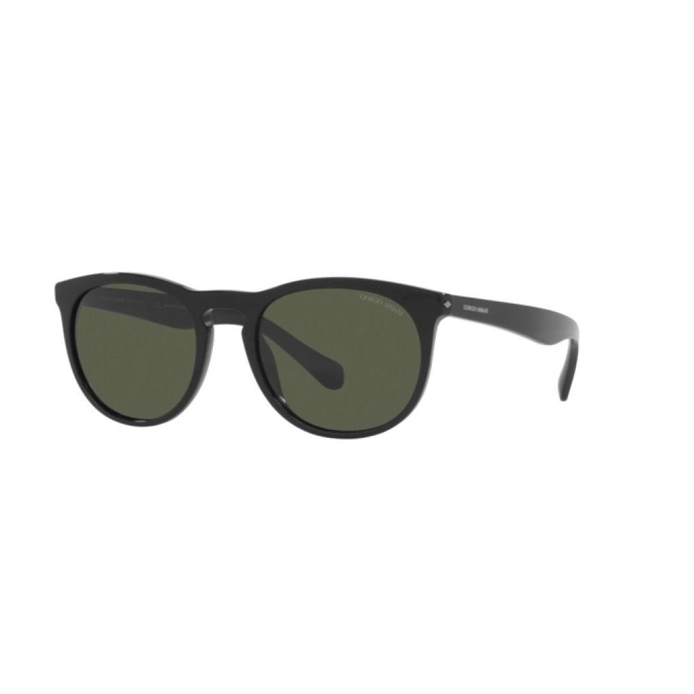 Black Acetate Sunglasses