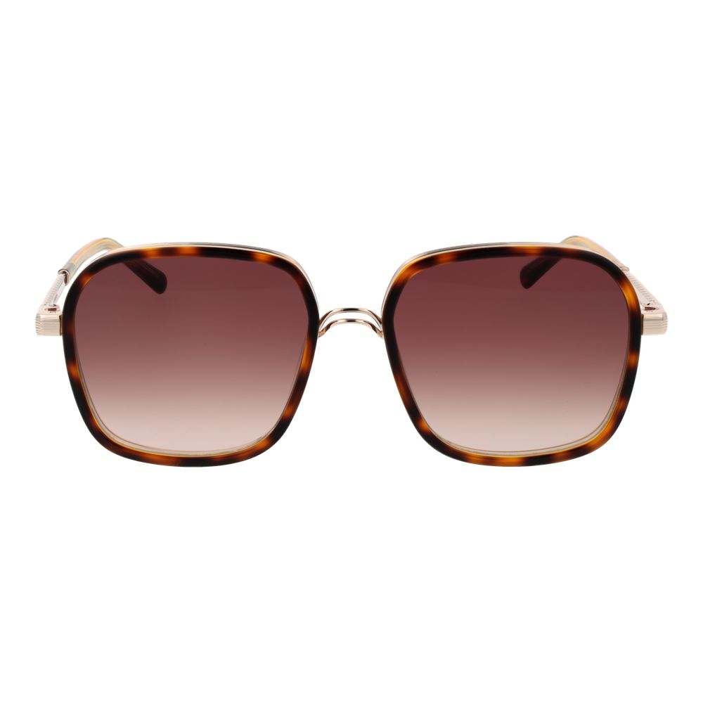 Brown Acetate Sunglasses