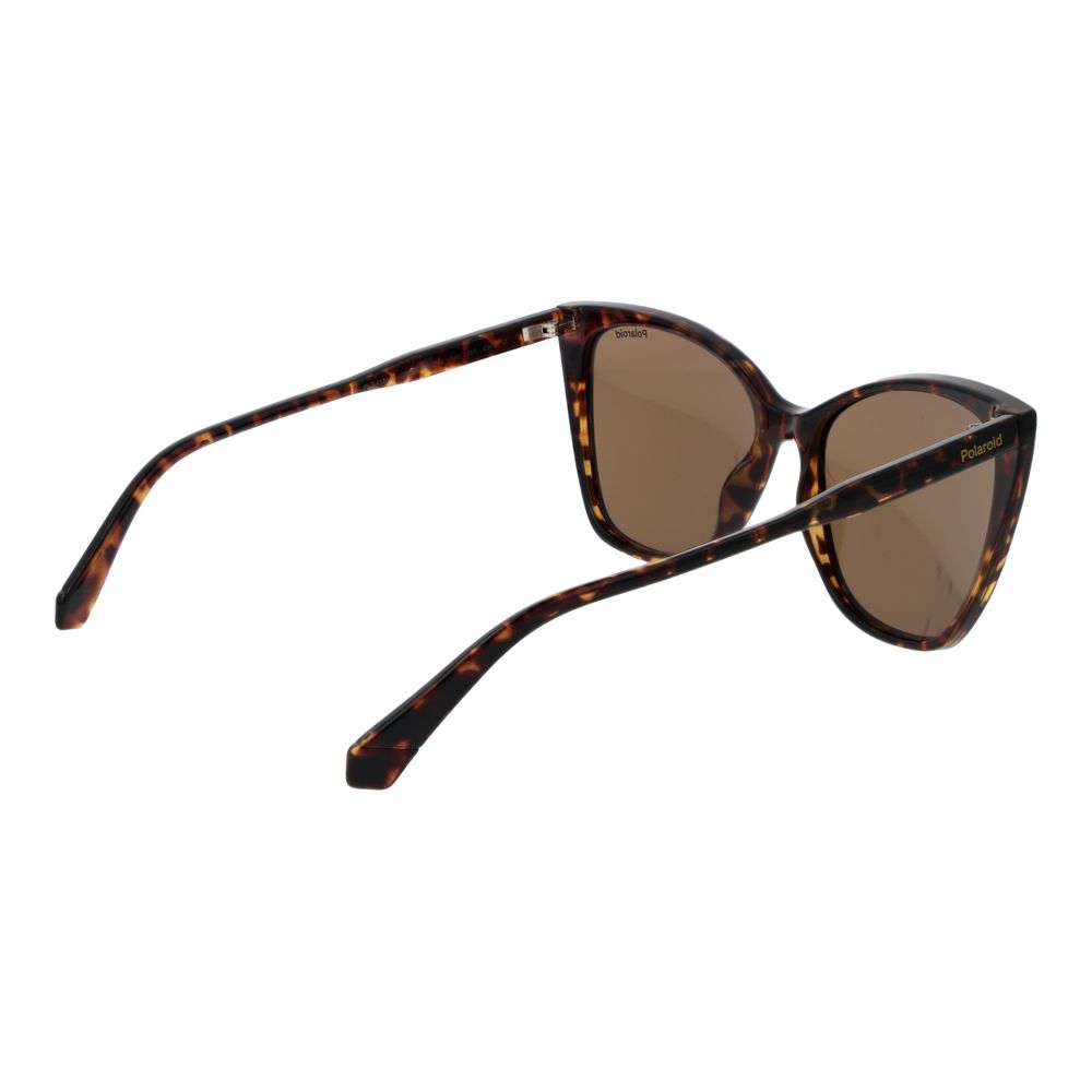 Brown Polycarbonate Sunglasses