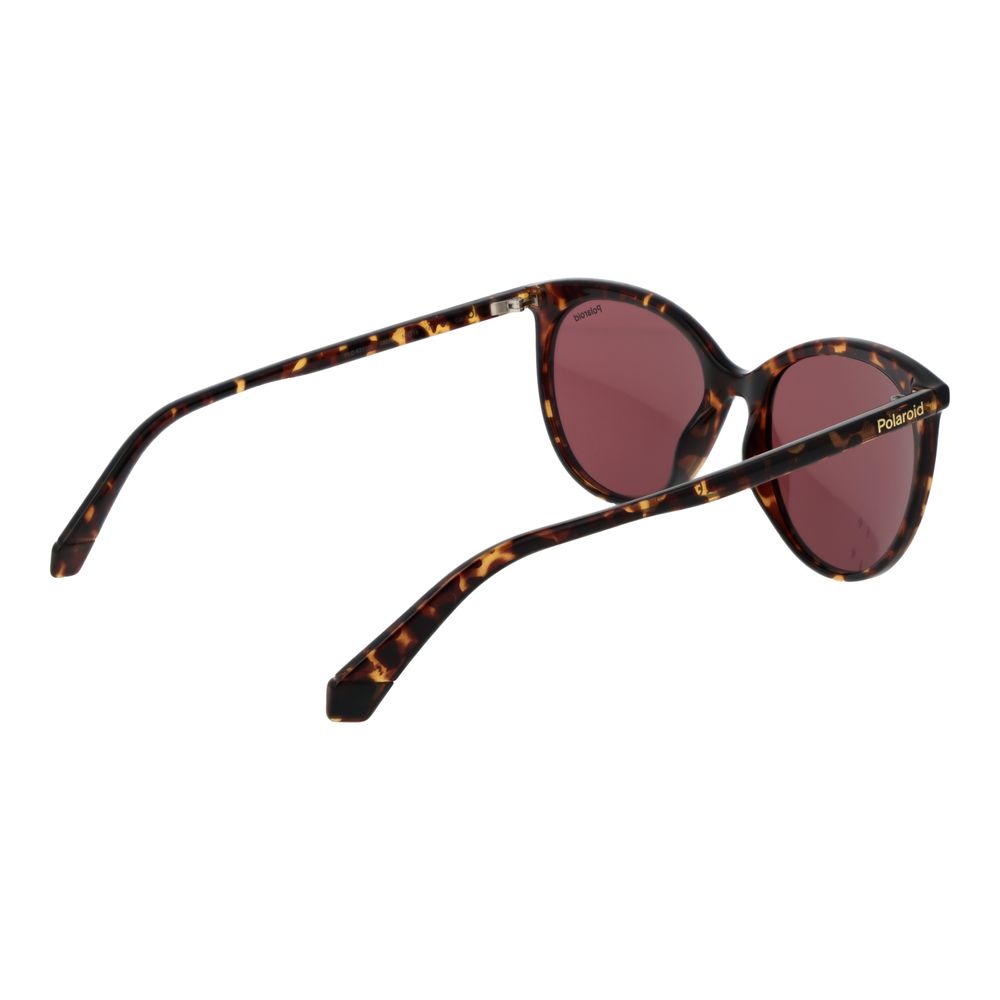 Brown Polycarbonate Sunglasses