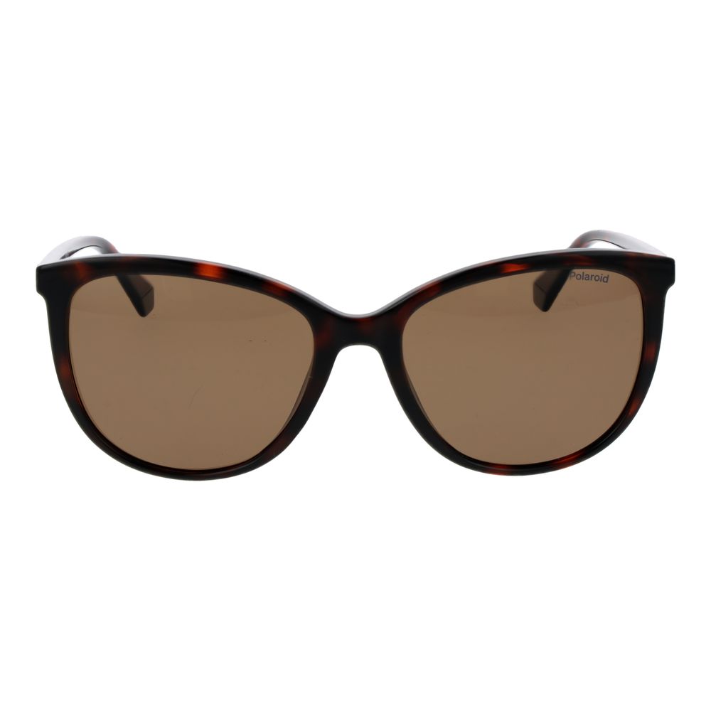 Brown Plastic Sunglasses
