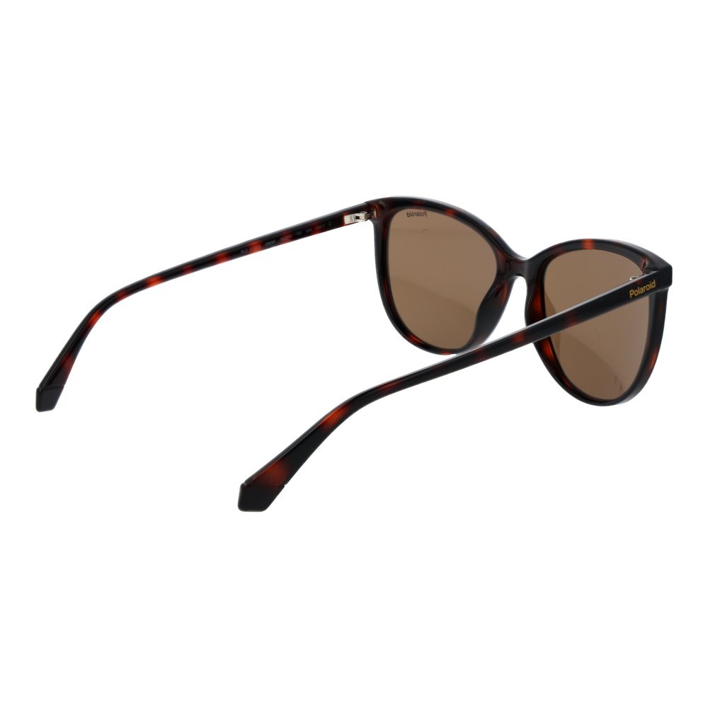 Brown Plastic Sunglasses