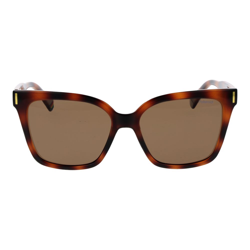 Brown Plastic Sunglasses