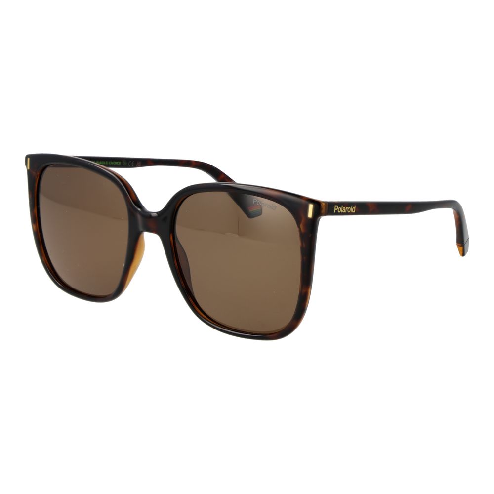 Brown Plastic Sunglasses