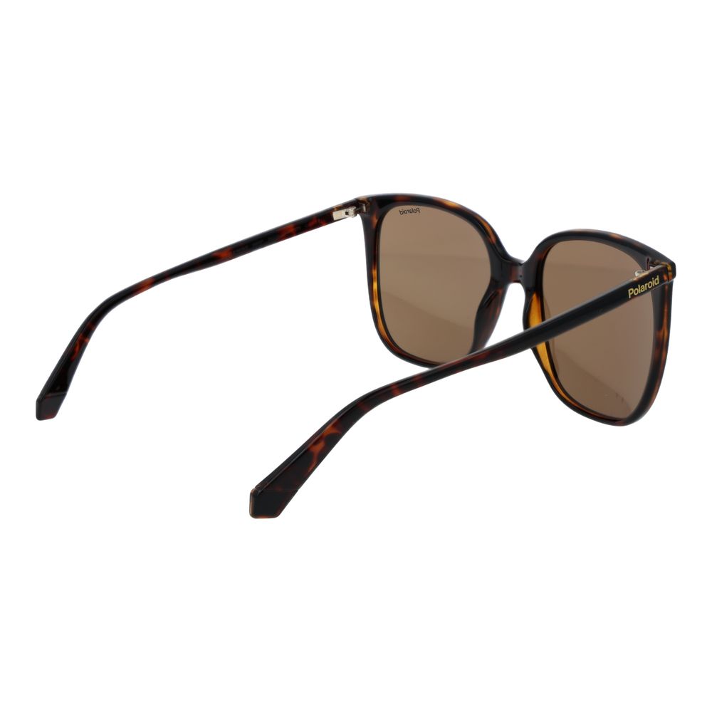 Brown Plastic Sunglasses