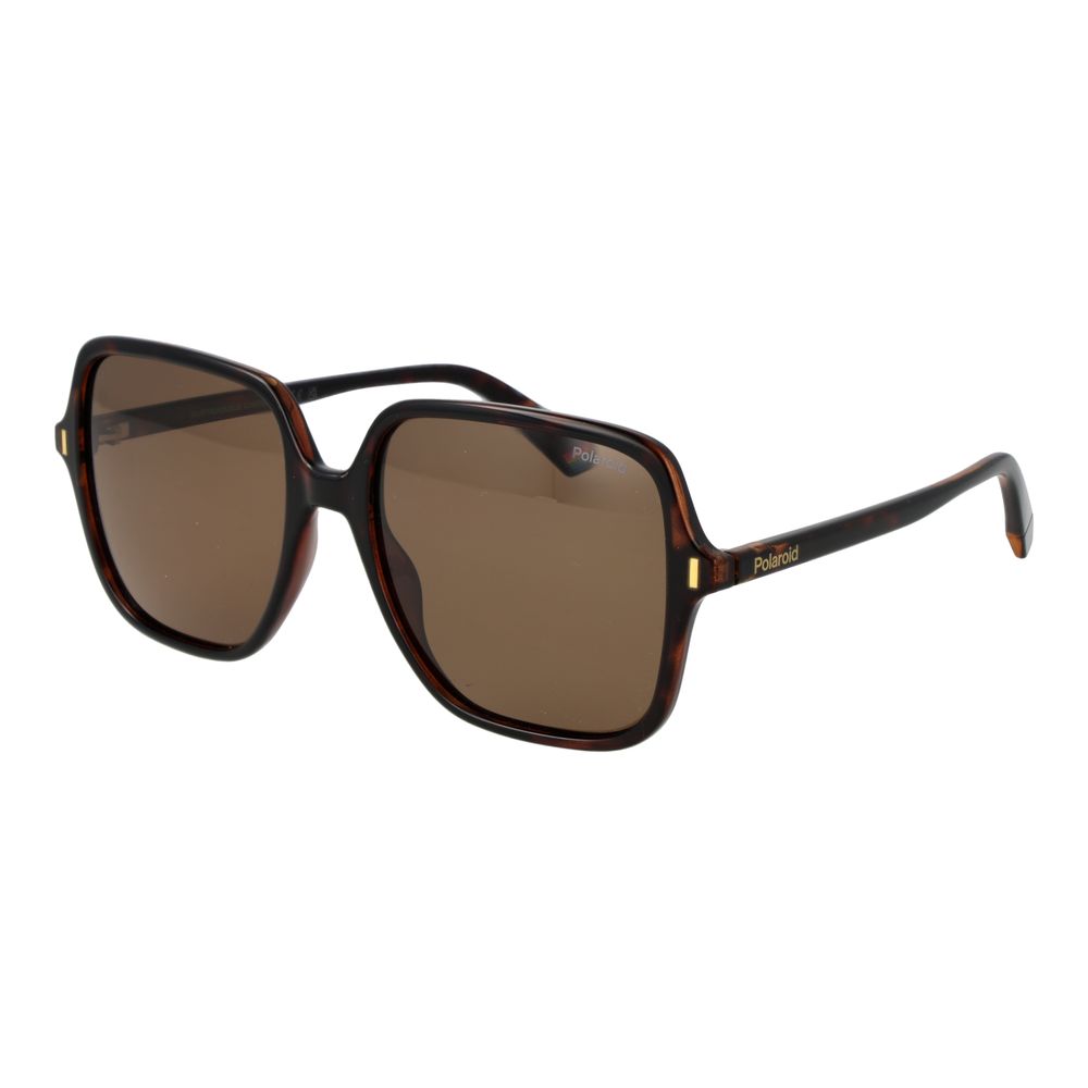 Brown Plastic Sunglasses