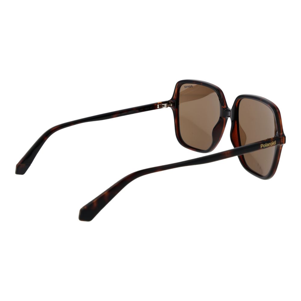 Brown Plastic Sunglasses