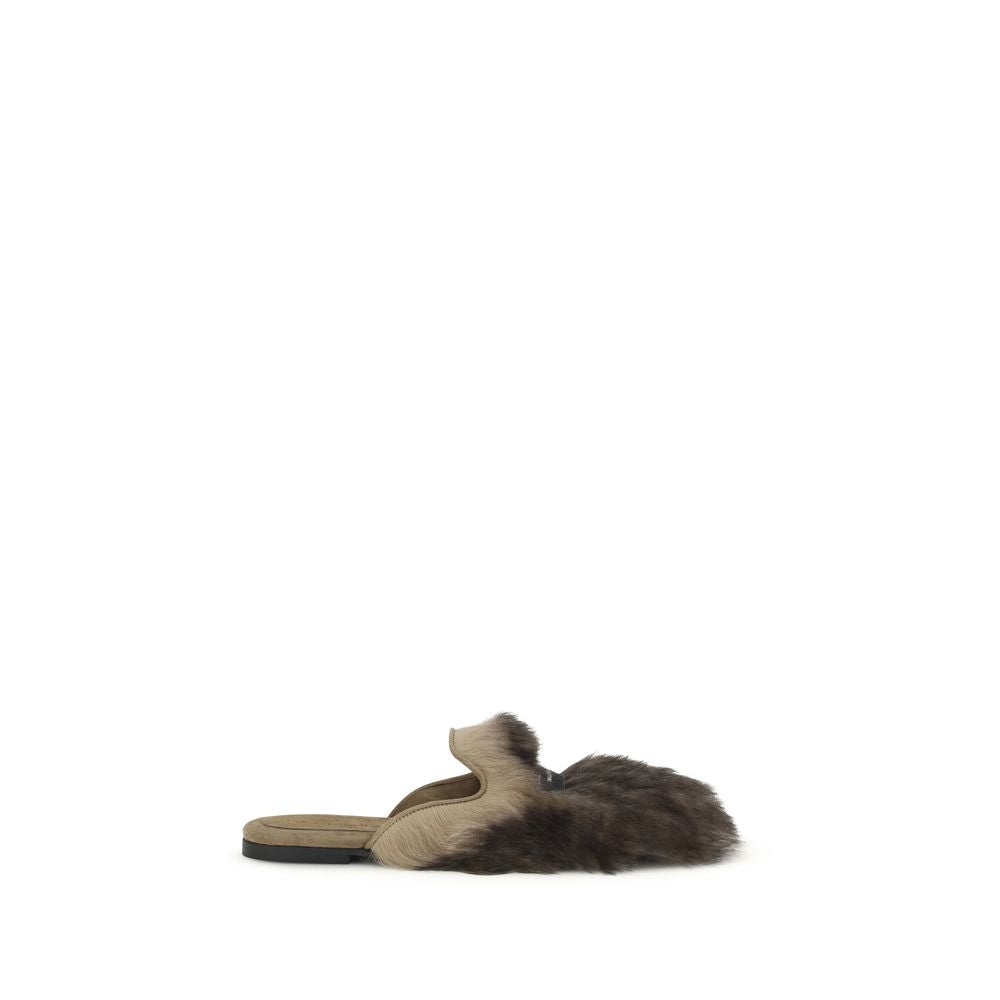 Ovečka šedá (Ovis Aries Aries Mules)