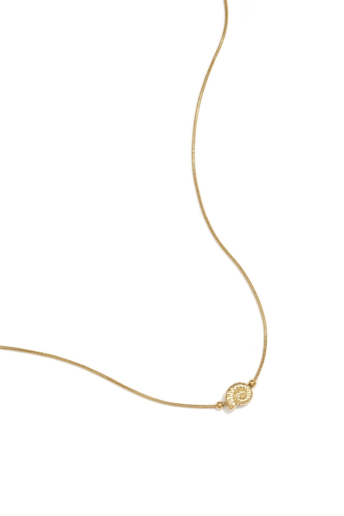 Minimalist necklace with small spiral shell